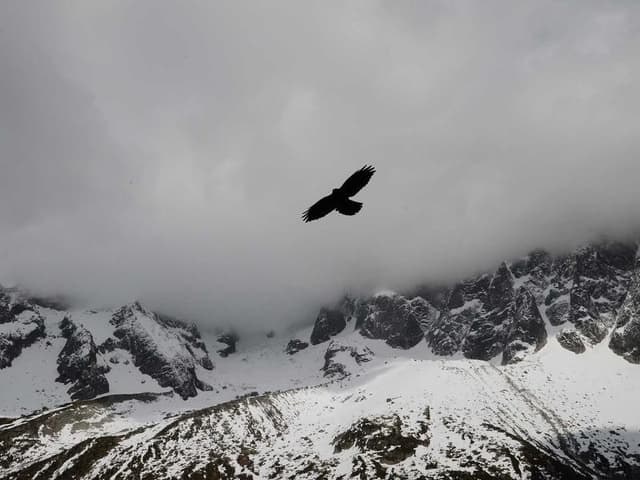 images