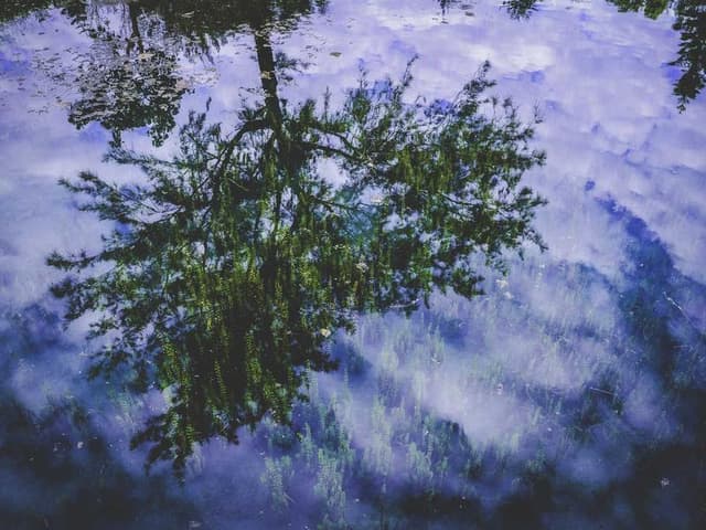images
