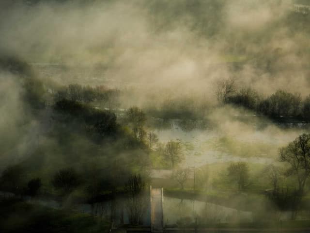 images