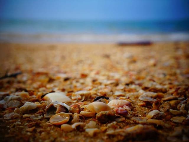 images