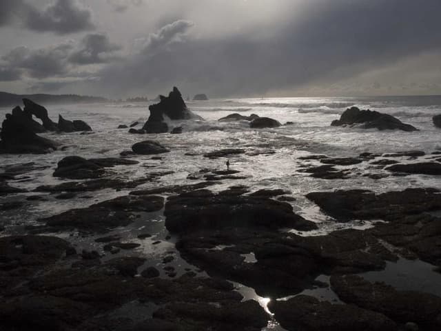 images