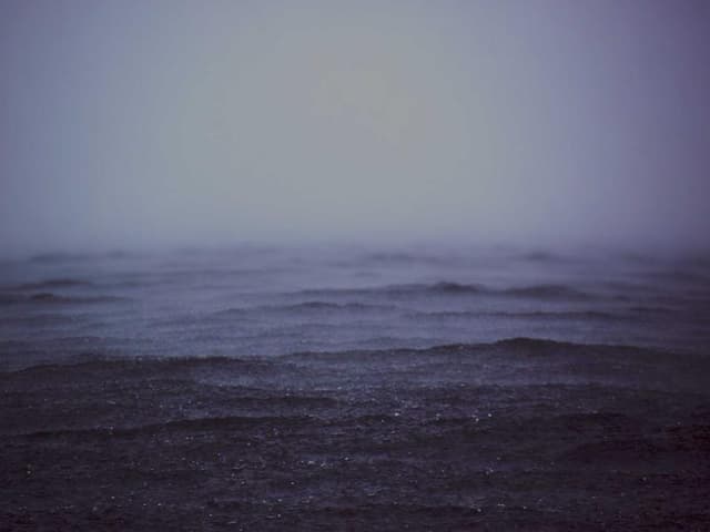 images