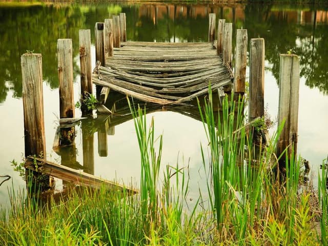 images
